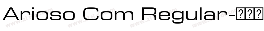 Arioso Com Regular字体转换